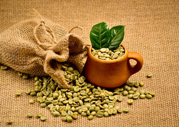 CQI Q Cupping Essentials (QCE) Course