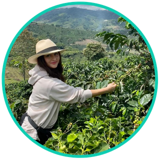 Anastasiia Sergienko