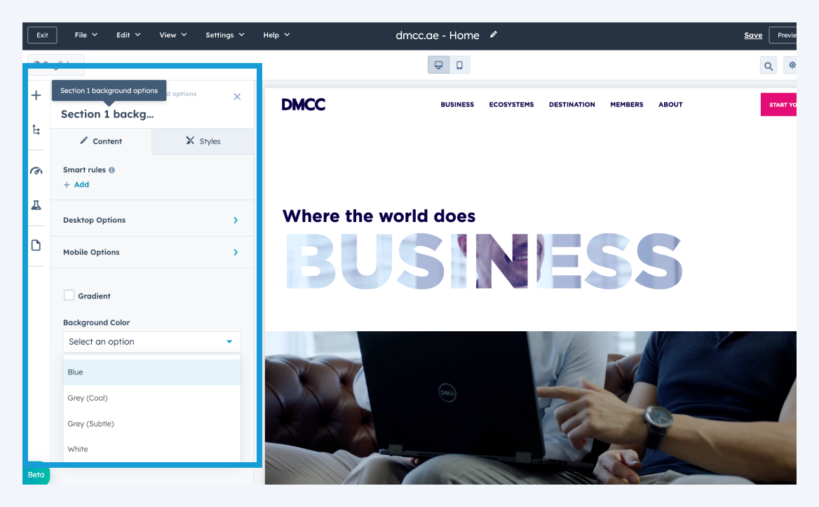 img-branding-website-setup-theme-background-settings-2 img-branding-website-setup-theme-background-settings-2